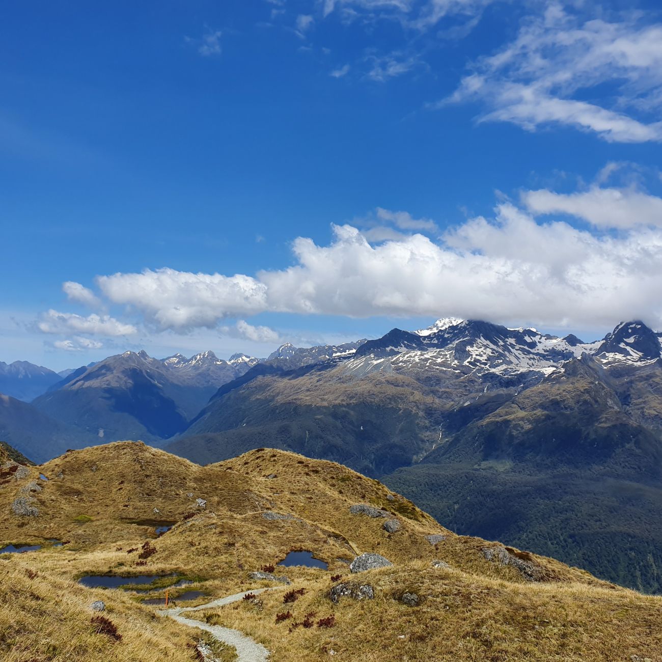 Fiordland New Zealand Alpine Landscape